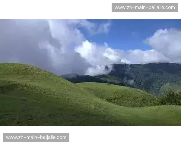 狂野草原遇上南美铁骑：南非与巴拉圭的绿茵博弈与灵魂对谈